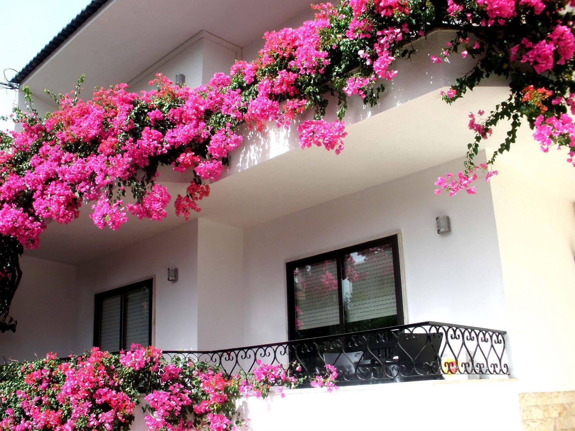 Dolce Cascais Guest House Екстериор снимка